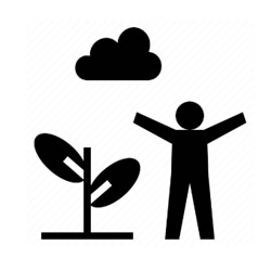Disfrutar de la naturaleza Disfrutar de la naturaleza